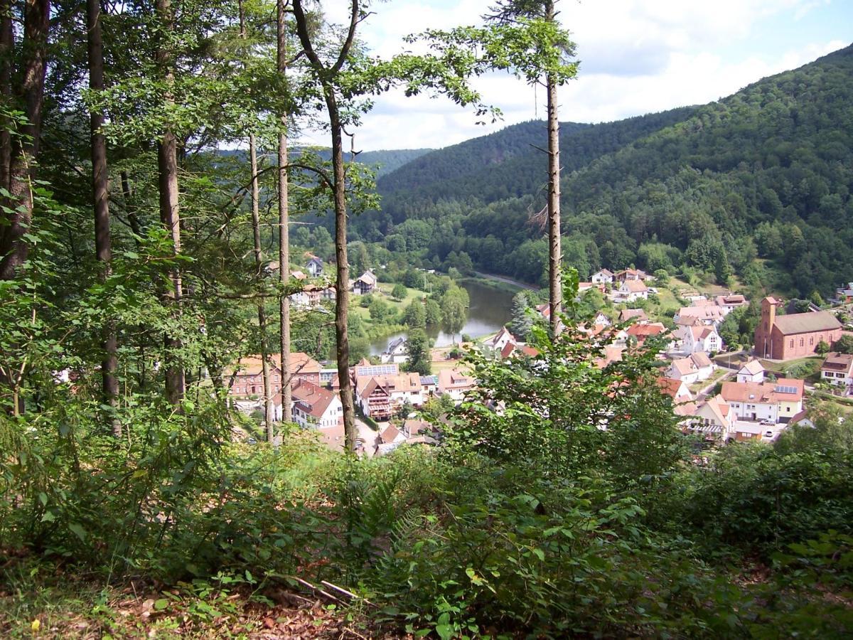 Ferienwohnung Am Pfaffenfels Schonau  Exterior photo